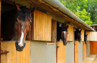 free Llanaelhaearn stable construction quotes